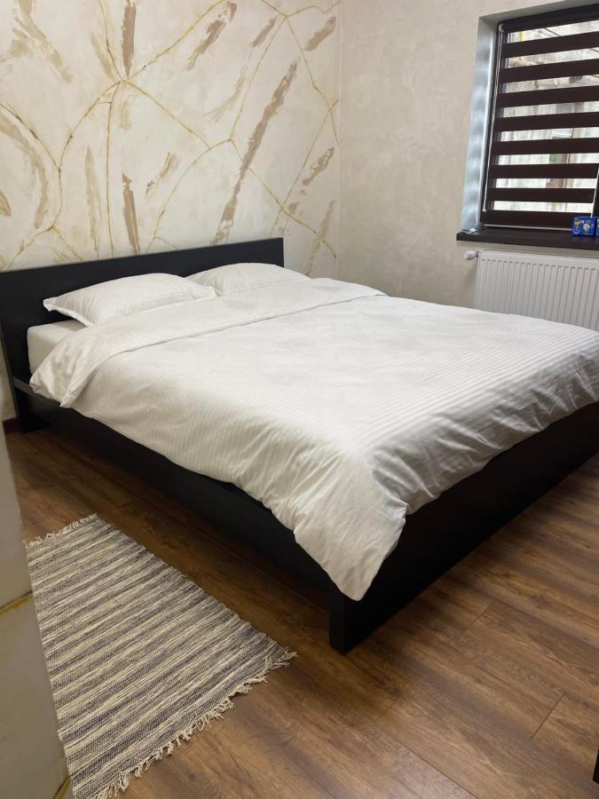 Guest House Târgu Jiu Екстериор снимка