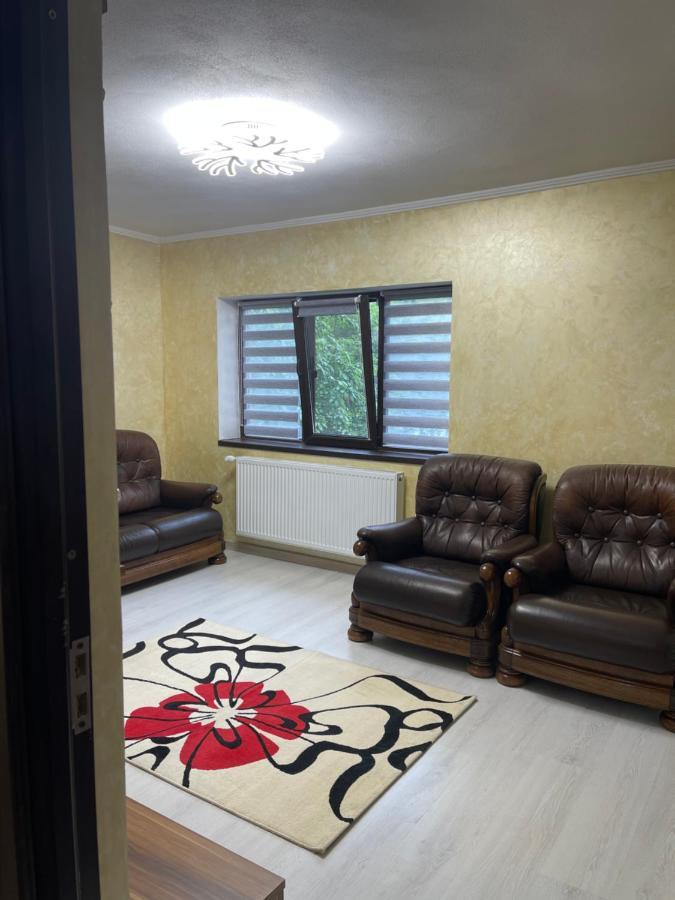 Guest House Târgu Jiu Екстериор снимка